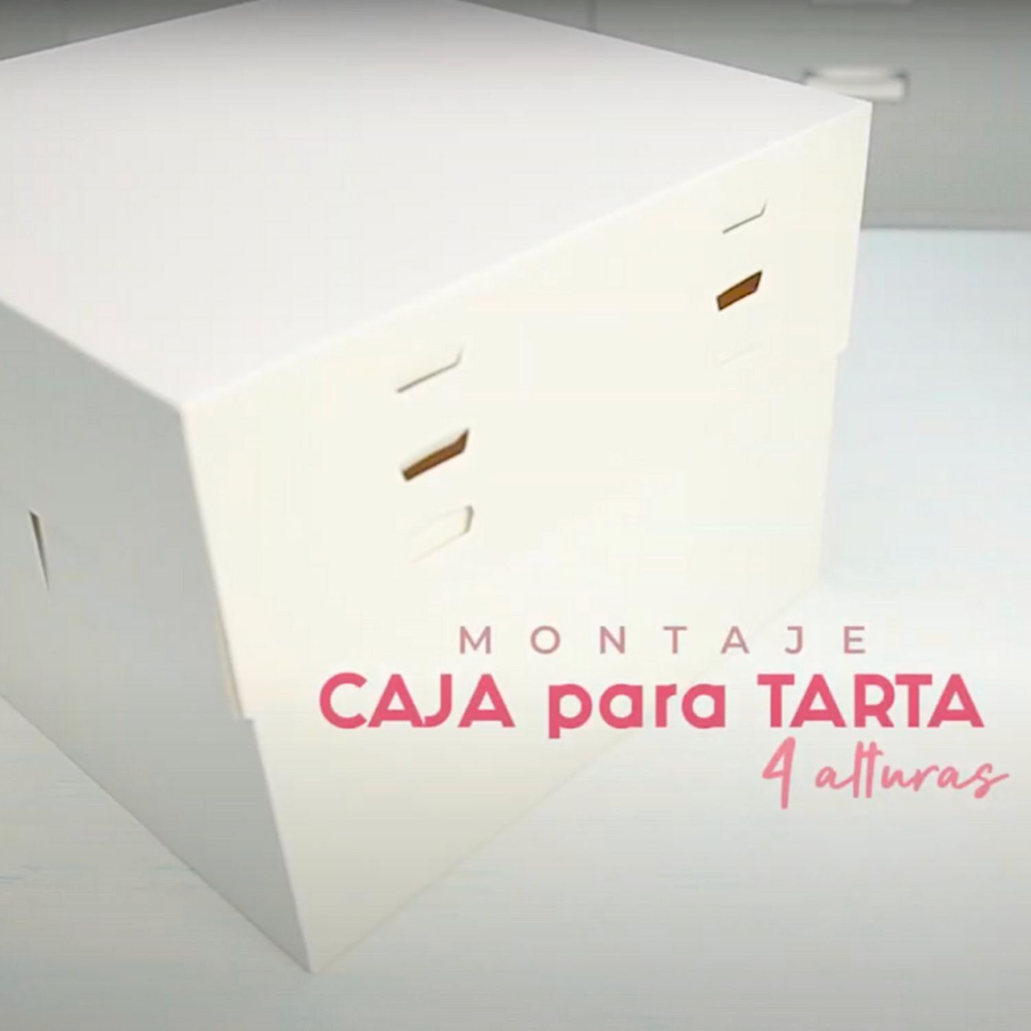 SET 10 CAJAS PARA TARTA 4 ALTURAS AJUSTABLES - 25 CM