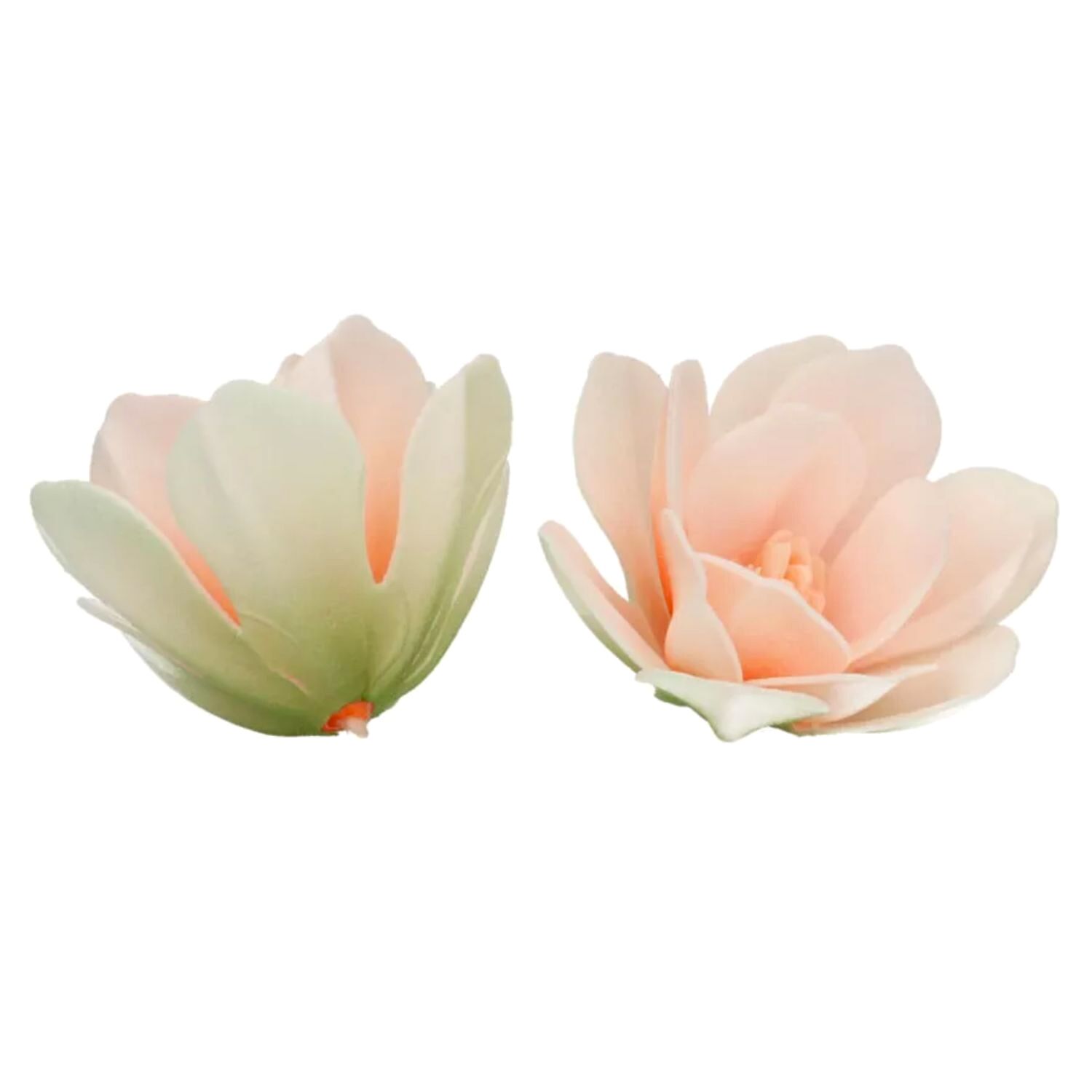 FLORES DE PAPEL COMESTIBLE FUNCAKES - MAGNOLIA BLANCA GRANDE