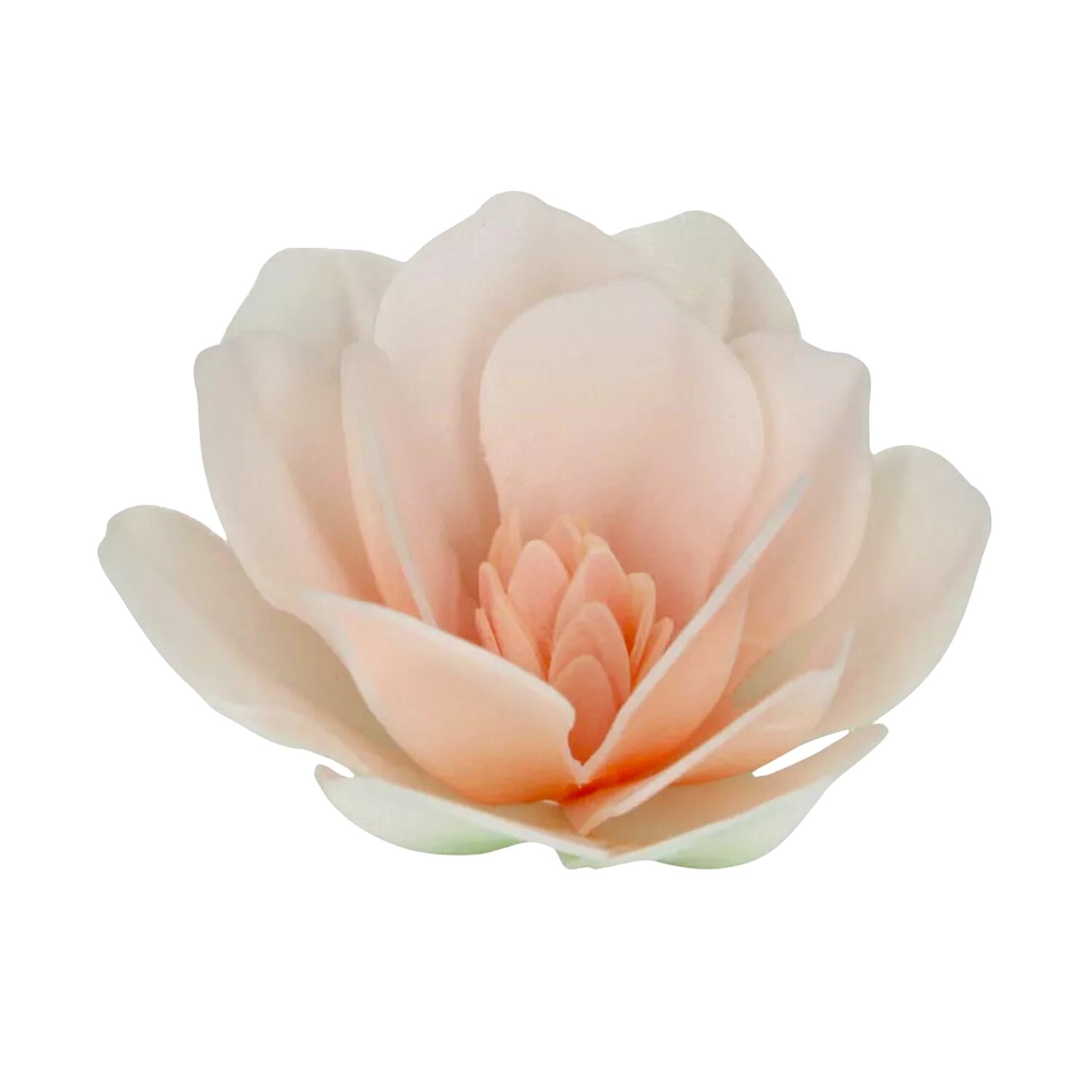 FLORES DE PAPEL COMESTIBLE FUNCAKES - MAGNOLIA BLANCA GRANDE