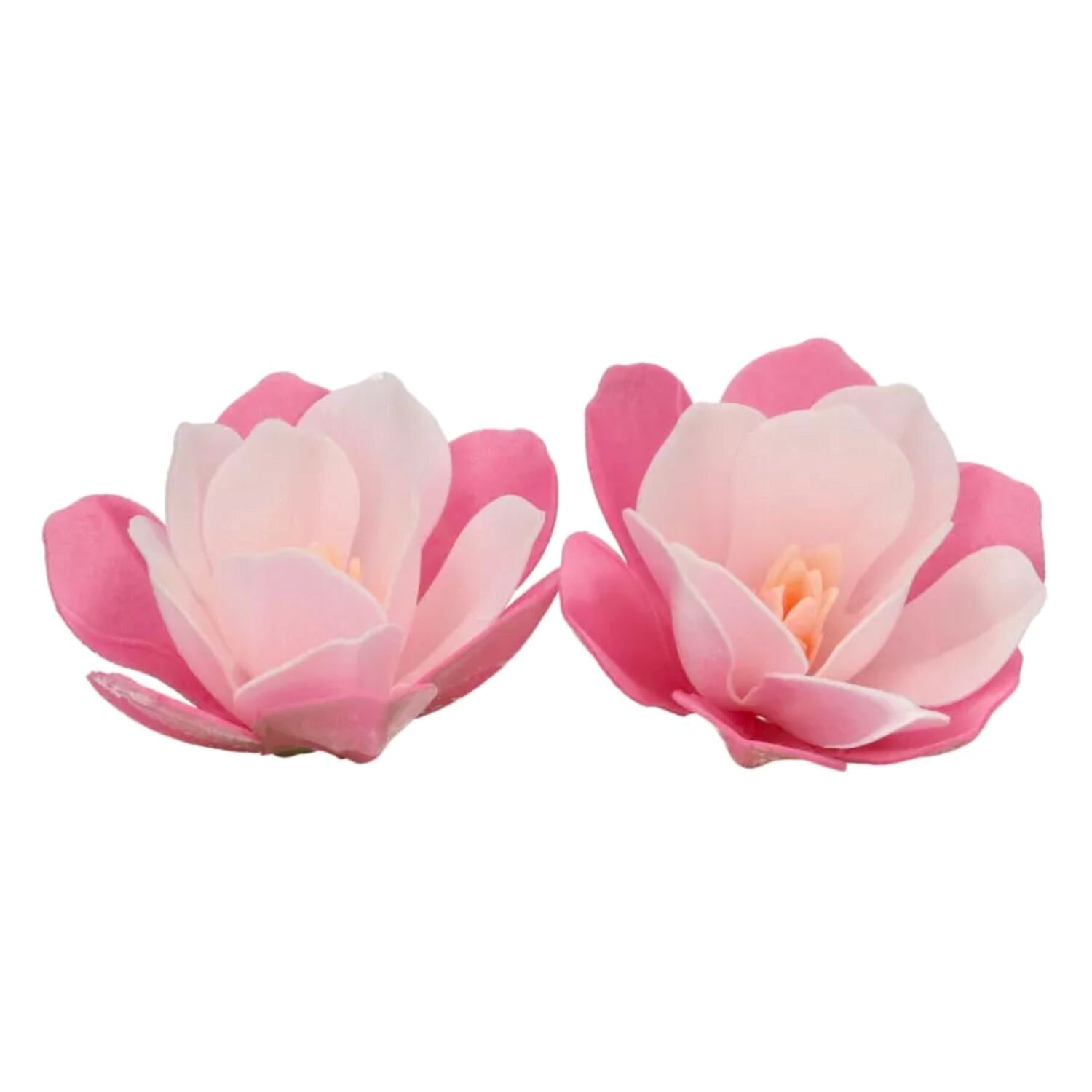 FLORES DE PAPEL COMESTIBLE FUNCAKES - MAGNOLIA ROSA GRANDE