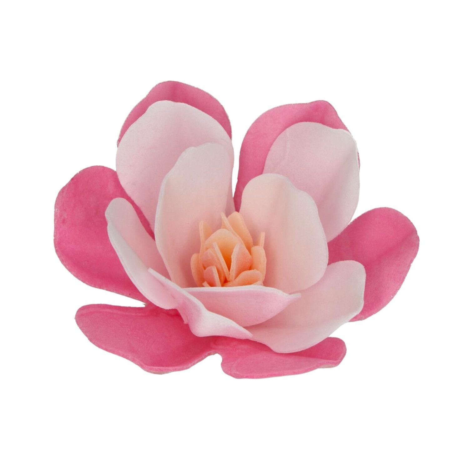 FLORES DE PAPEL COMESTIBLE FUNCAKES - MAGNOLIA ROSA GRANDE